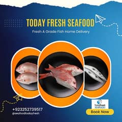 Today Fresh Sea food