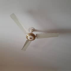 Full size fan