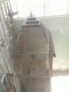Hen or birds cage available for sale