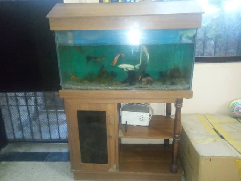 3 feet Aquarium for sale with Fishes and Stand 0