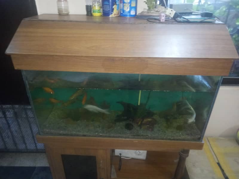 3 feet Aquarium for sale with Fishes and Stand 1