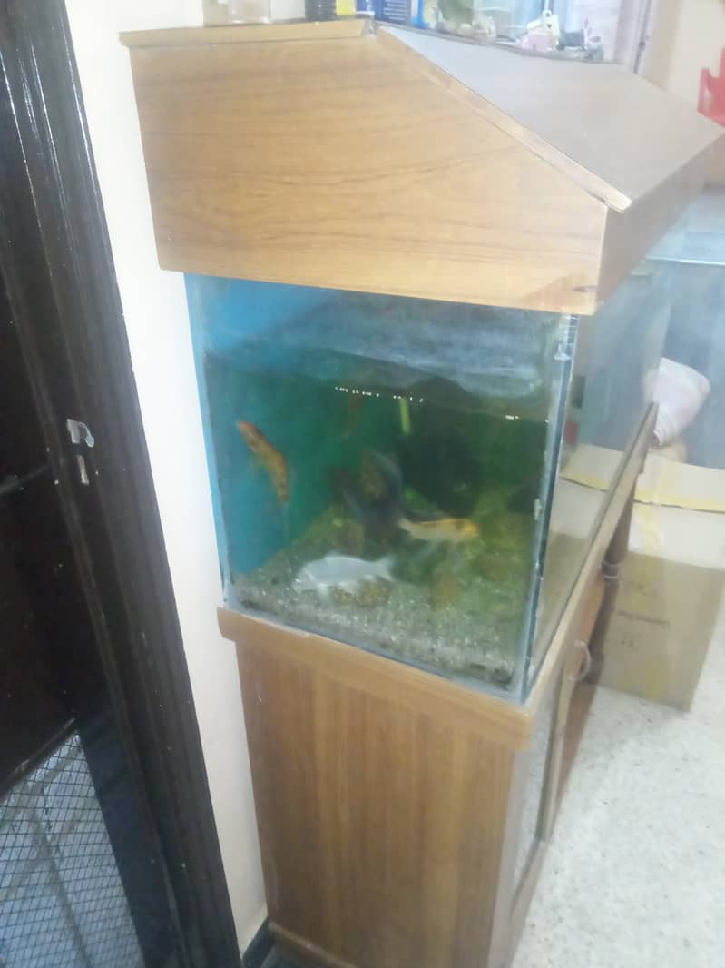 3 feet Aquarium for sale with Fishes and Stand 3