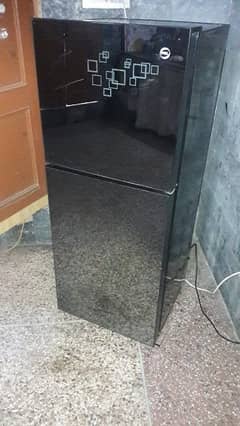 pel glass door fridge