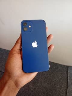 I phone 12 pta approved 0
