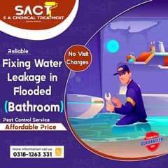 bathroom leakage seapage / roof heat and waterproofing / cool roof