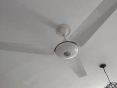 10/10 condition fan available