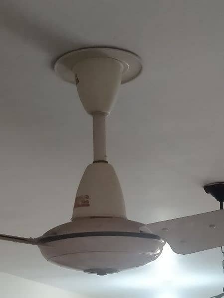 10/10 condition fan available 1