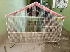 birds cage and Matkii