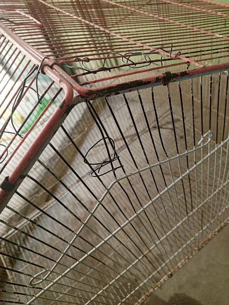 birds cage and Matkii 5