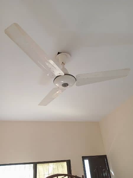 3 fans  in  reasonable price 5