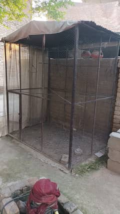 USED IRON CAGE 03139060723