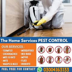 Dengue spray ,Termite Control, Fumigation Spray, Deemak Control,