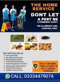 Termite Dheemak Control Mosquito Spray Sevice For All Lahore