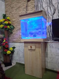 New Fish Aquarium 1.5 foot with fishes. Color Changing Light Installed 0