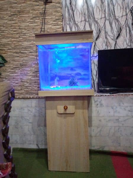 New Fish Aquarium 1.5 foot with fishes. Color Changing Light Installed 1
