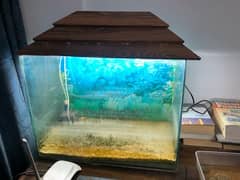 Fish Aquirium With pump Gravel and two small fishes 0
