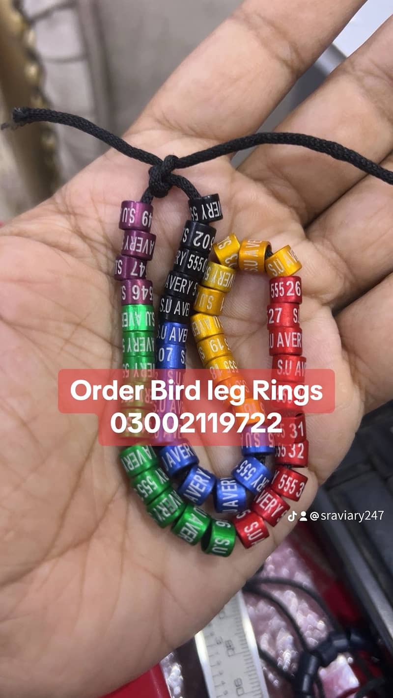 Bird Leg Rings, Love Bird Rings, Conure Rings, Raw Parrot Rings & More 0