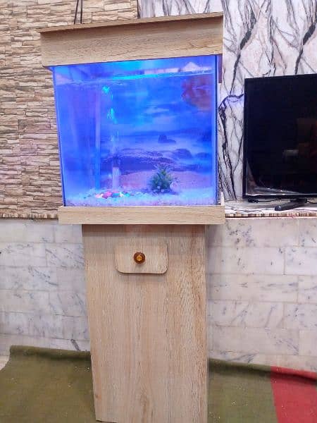 New Fish Aquarium 1.5 foot. Color Changing Light Installed. 2
