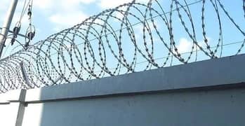 Razor Wire Galvanized Front Facing Wall Fence Security