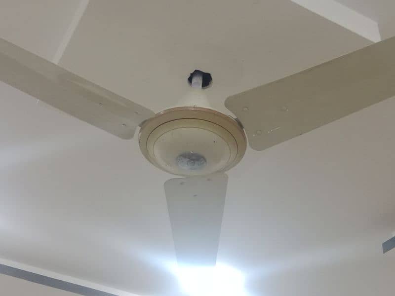 GFC Ceiling Fan 1