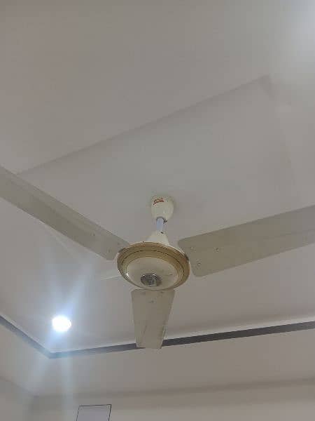 GFC Ceiling Fan 2