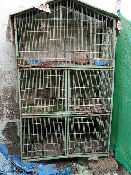 5 portion cages available 0