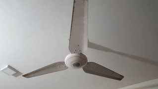 ceiling fan for sale . Rs 4,000 per fan