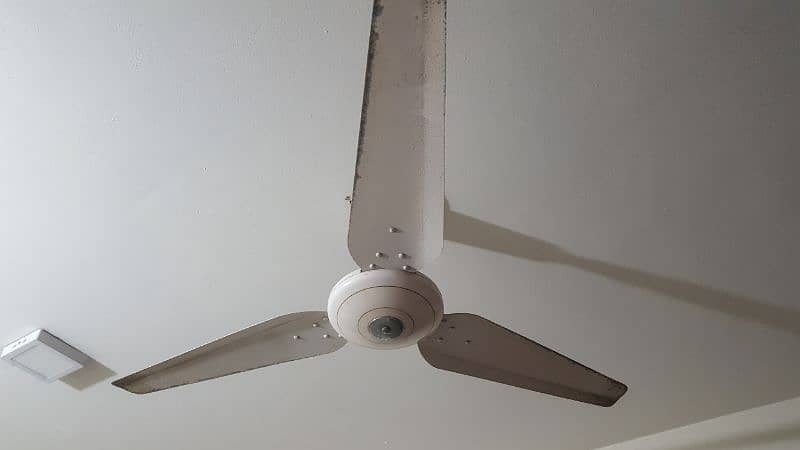 ceiling fan for sale . Rs 4,000 per fan 1