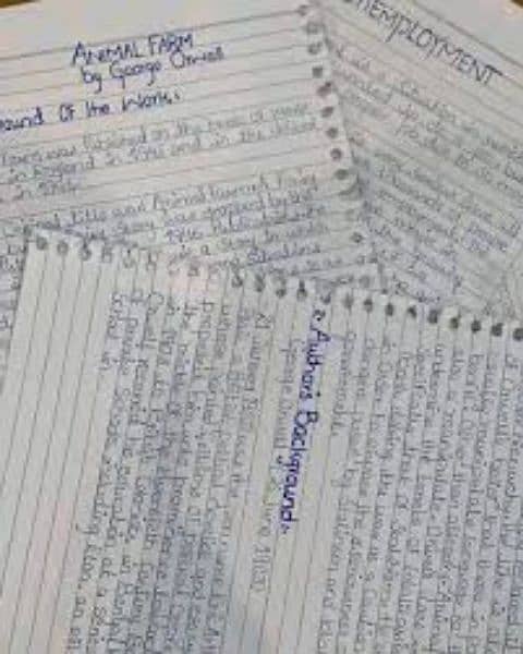 I will do Handwriting job Assignments in perfect Readable writing. 13