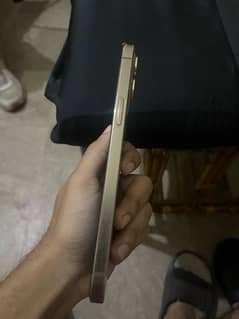 iphone 12 pro max( dual approved)