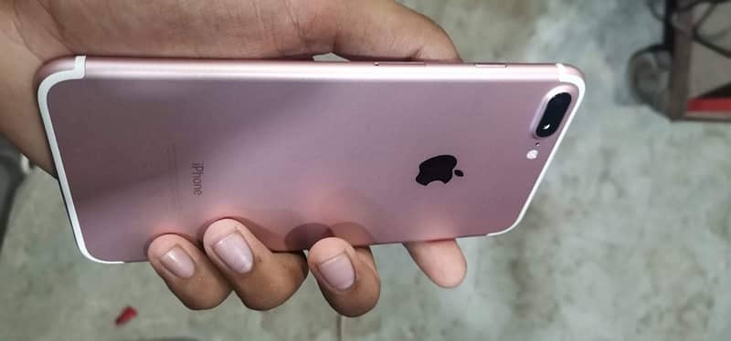 7plus Rose Gold Pta Approved 2
