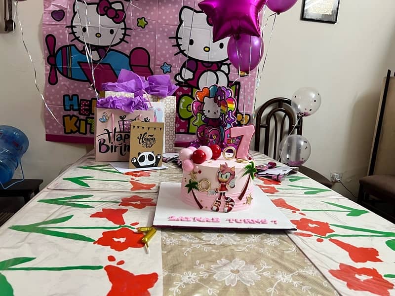 Hello Kitty Theme  Birthday Party Set Wall decorations/paper plates 9