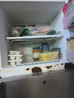 Lg fridge all ok cooling 100%