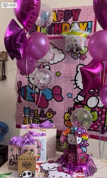 Hello Kitty Theme  Birthday Party Set Wall decorations/paper plates 12