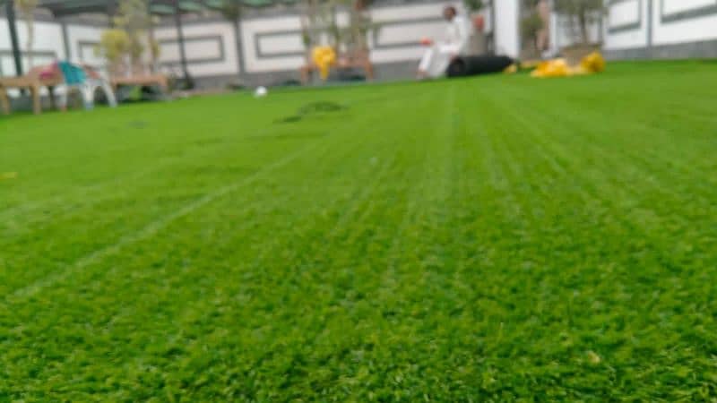 Artificial grass Imported chaina Grass 3