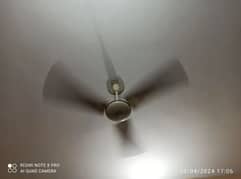 12 ceiling fans available, 4000 per fan