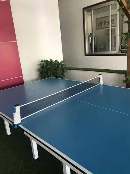 Table Tennis Grid Imported 1