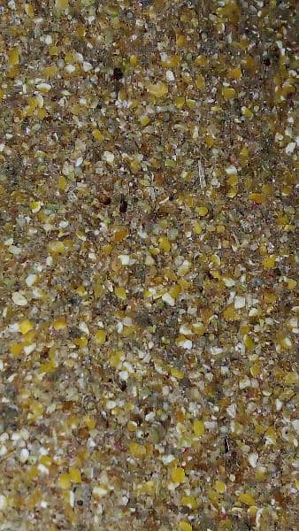 poultry feed (special feed for aseel) poultry feed and wanda available 4