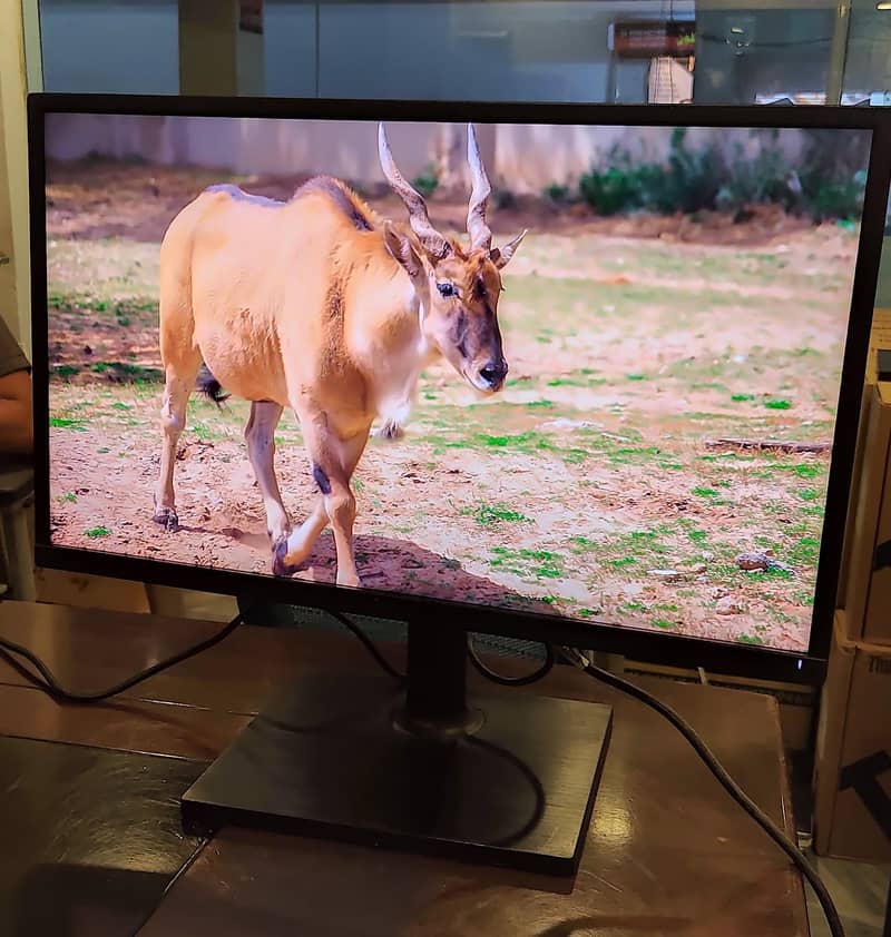 DELL 24inch LCD Monitor IPS Display for Sale 1