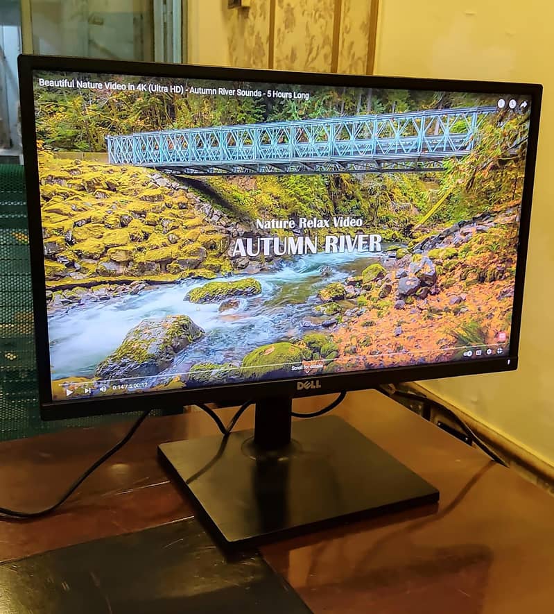 DELL 24inch LCD Monitor IPS Display for Sale 5