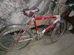 1 cycle for sale