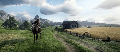 Red Dead Redemption 2 Guranteed 100% Working 0