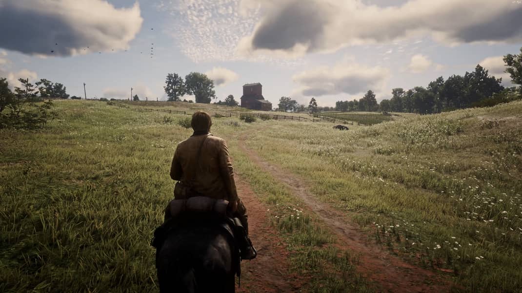 Red Dead Redemption 2 Guranteed 100% Working 3