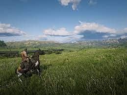Red Dead Redemption 2 Guranteed 100% Working 4