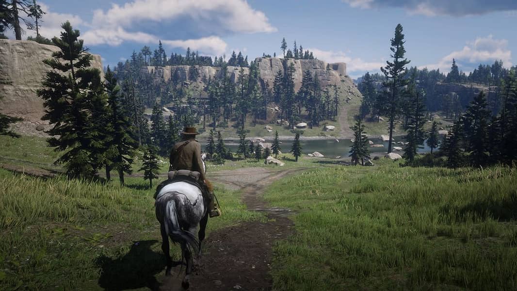 Red Dead Redemption 2 Guranteed 100% Working 6