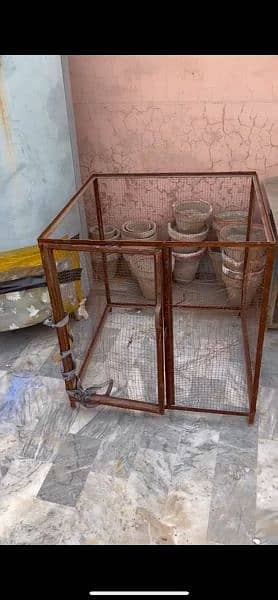 Aseel Hens Cage Brown Cage 3000 Blue Cage 6000 1