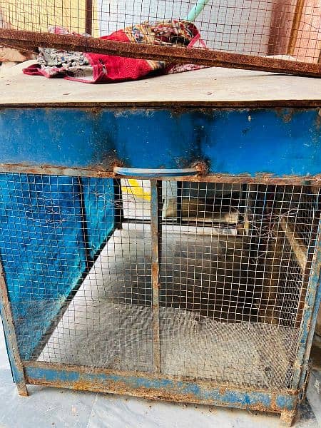 Aseel Hens Cage Brown Cage 3000 Blue Cage 6000 6