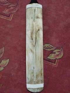 English willow hard ball bat