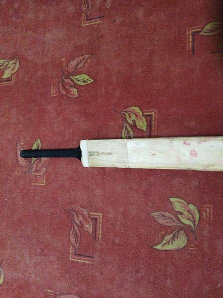 English willow hard ball bat 4