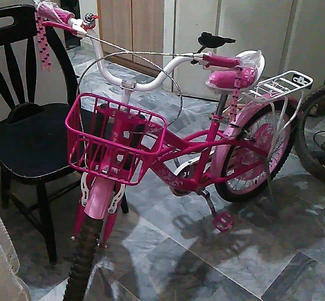 Cycle Pink for Girls 7